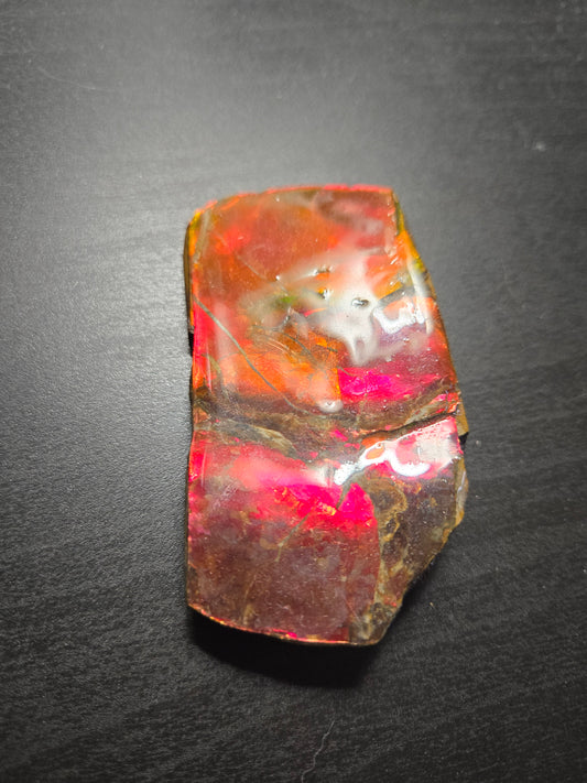 Ammolite