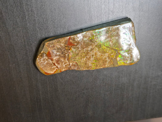 Ammolite