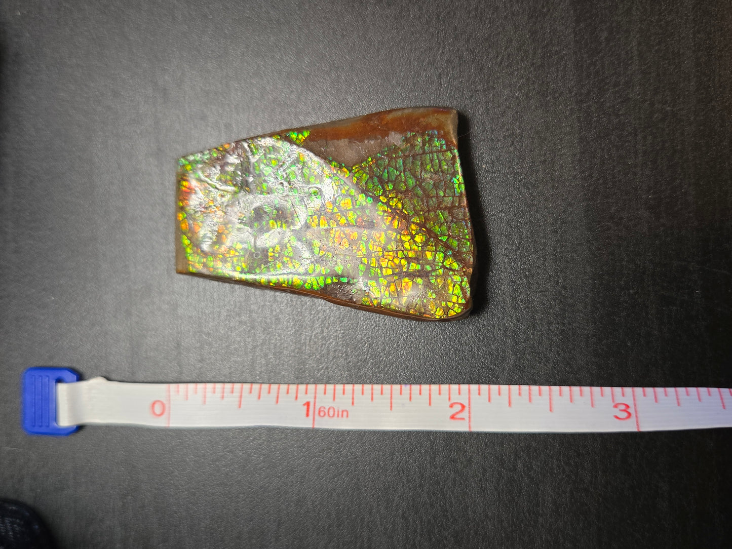 Ammolite